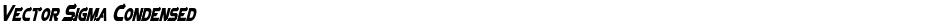 Vector Sigma CondensedDemo