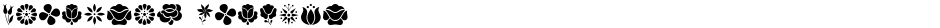 Kalocsai FlowersDemo