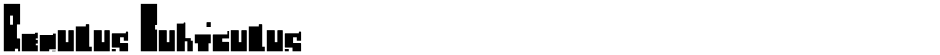 Regulus CubiculusDemo