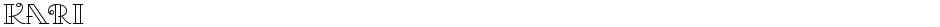KariDemo