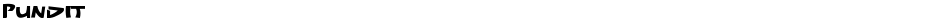 PunditDemo