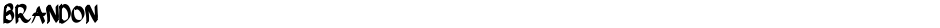 BrandonDemo