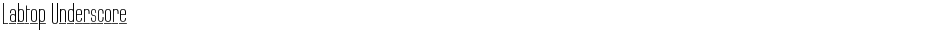 Labtop UnderscoreDemo