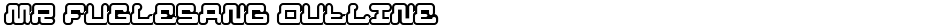 MR FUGLESANG OUTLINEDemo