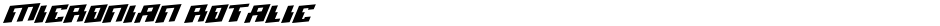Micronian RotalicDemo