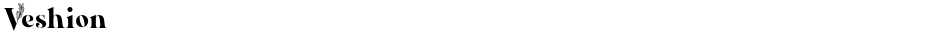 VeshionDemo