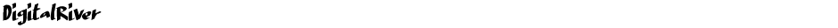 DigitalRiverDemo