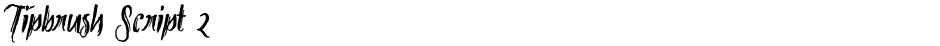 Tipbrush Script 2Demo