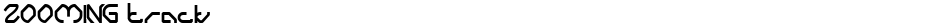 ZOOMING trackDemo