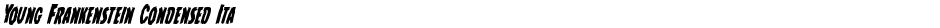 Young Frankenstein Condensed ItalicDemo