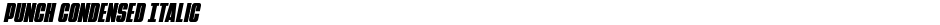Punch Condensed ItalicDemo