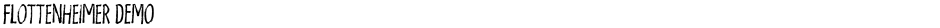 Flottenheimer DEMODemo