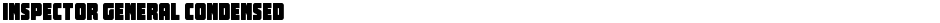 Inspector General CondensedDemo