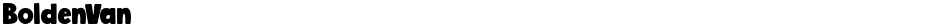 BoldenVanDemo