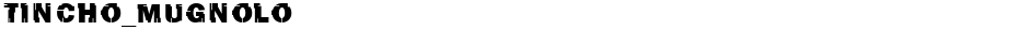 Tincho_MugnoloDemo