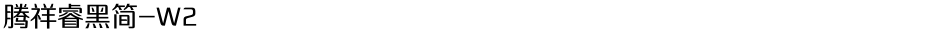 腾祥睿黑简-W2Demo