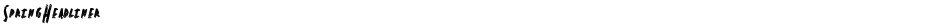 SpringHeadlinerDemo