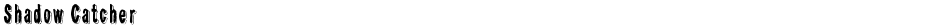 Shadow CatcherDemo