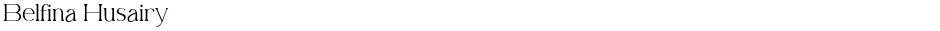 Belfina HusairyDemo