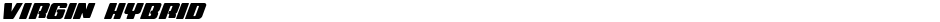 Virgin HybridDemo