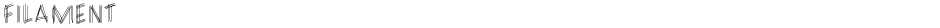 FILAMENTDemo
