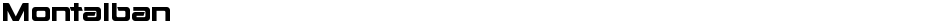 MontalbanDemo