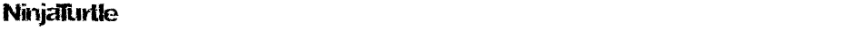 NinjaTurtleDemo
