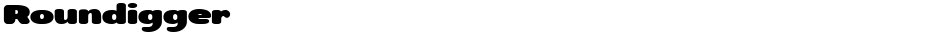 RoundiggerDemo