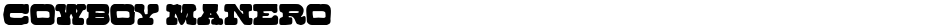 Cowboy ManeroDemo