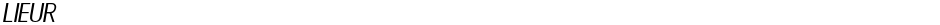 LIEURDemo