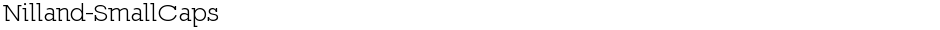 Nilland-SmallCapsDemo