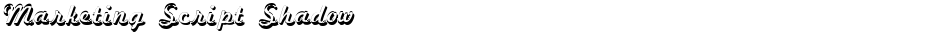Marketing Script ShadowDemo