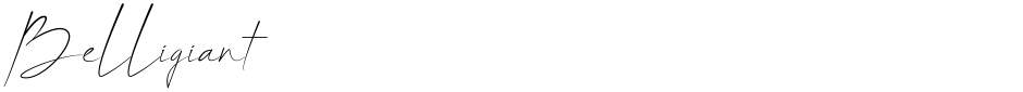 BelligiantDemo