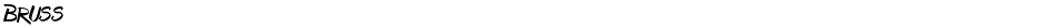 BrussDemo