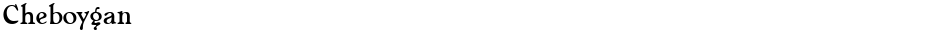 CheboyganDemo