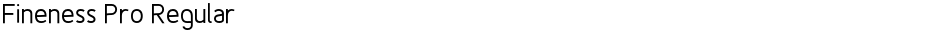 Fineness Pro RegularDemo