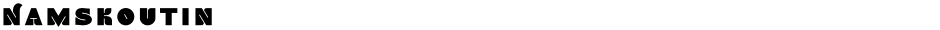 NamskoutInDemo