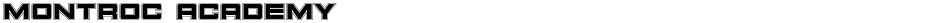 Montroc AcademyDemo