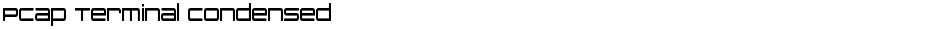 PCap Terminal CondensedDemo