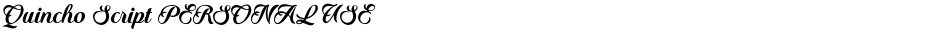 Quincho Script PERSONAL USEDemo