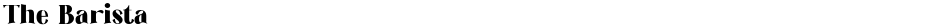 The BaristaDemo