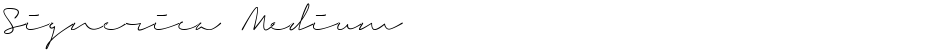 Signerica MediumDemo