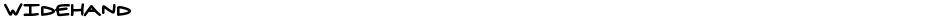 widehandDemo