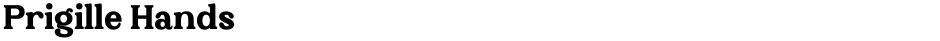 Prigille HandsDemo