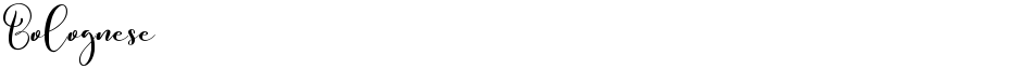 BologneseDemo