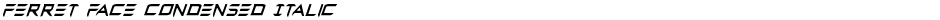 Ferret Face Condensed ItalicDemo