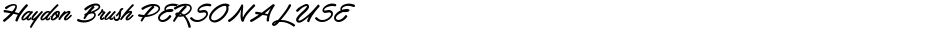 Haydon Brush PERSONAL USEDemo