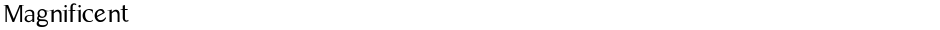 MagnificentDemo
