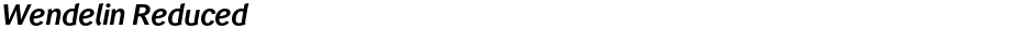 Wendelin ReducedDemo