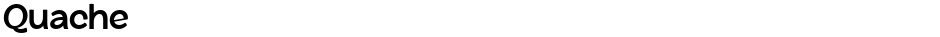 QuacheDemo